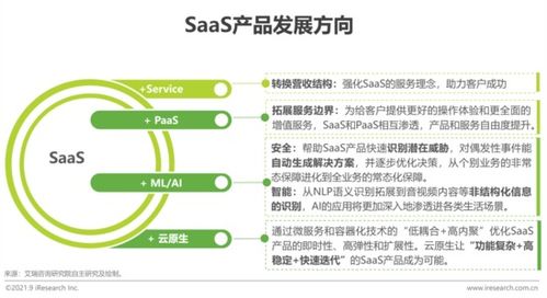2021年中國企業級SaaS行業研究報告 工業互聯網數據服務的崛起與變革